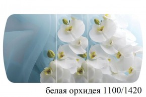 БОСТОН - 3 Стол раздвижной 1100/1420 опоры Триумф в Соликамске - solikamsk.ok-mebel.com | фото 9