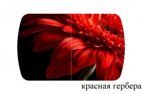 БОСТОН - 3 Стол раздвижной 1100/1420 опоры Триумф в Соликамске - solikamsk.ok-mebel.com | фото 18