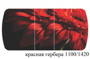 БОСТОН - 3 Стол раздвижной 1100/1420 опоры Триумф в Соликамске - solikamsk.ok-mebel.com | фото 19