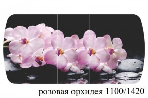 БОСТОН - 3 Стол раздвижной 1100/1420 опоры Триумф в Соликамске - solikamsk.ok-mebel.com | фото 34