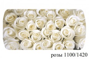 БОСТОН - 3 Стол раздвижной 1100/1420 опоры Триумф в Соликамске - solikamsk.ok-mebel.com | фото 37