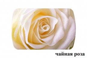 БОСТОН - 3 Стол раздвижной 1100/1420 опоры Триумф в Соликамске - solikamsk.ok-mebel.com | фото 47