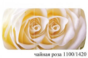 БОСТОН - 3 Стол раздвижной 1100/1420 опоры Триумф в Соликамске - solikamsk.ok-mebel.com | фото 48