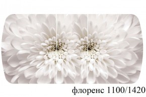 БОСТОН - 3 Стол раздвижной 1100/1420 опоры Триумф в Соликамске - solikamsk.ok-mebel.com | фото 66