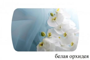 БОСТОН - 3 Стол раздвижной 1100/1420 опоры Триумф в Соликамске - solikamsk.ok-mebel.com | фото 8