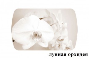 БОСТОН - 3 Стол раздвижной Лунная орхидея 1100/1420 опоры Триумф в Соликамске - solikamsk.ok-mebel.com | фото 2