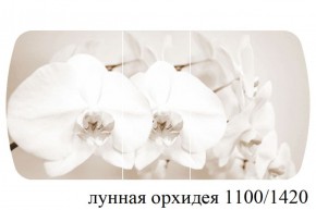 БОСТОН - 3 Стол раздвижной Лунная орхидея 1100/1420 опоры Триумф в Соликамске - solikamsk.ok-mebel.com | фото 3