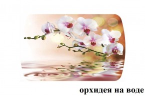 БОСТОН - 3 Стол раздвижной Орхидея на воде 1100/1420 опоры Триумф в Соликамске - solikamsk.ok-mebel.com | фото 2