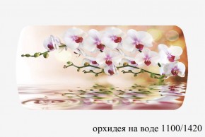 БОСТОН - 3 Стол раздвижной Орхидея на воде 1100/1420 опоры Триумф в Соликамске - solikamsk.ok-mebel.com | фото 3