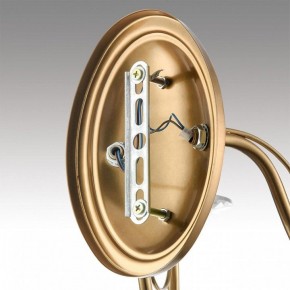Бра Lumion INCANTO 8033/2W в Соликамске - solikamsk.ok-mebel.com | фото 8
