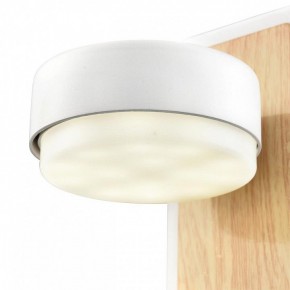 Бра Lumion LELAND 8263/1W в Соликамске - solikamsk.ok-mebel.com | фото 9