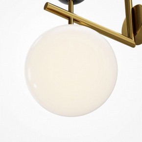 Бра Maytoni Museo MOD436WL-01BS в Соликамске - solikamsk.ok-mebel.com | фото 6