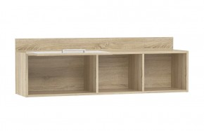 Детская Фанк Полка НМ 011.38-01 M1 в Соликамске - solikamsk.ok-mebel.com | фото 2