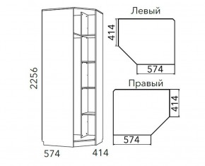 Детская Фанк Шкаф угловой Левый/Правый НМ 013.04-02 М в Соликамске - solikamsk.ok-mebel.com | фото 3