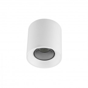 DK3090-WH+CH Светильник накладной IP 20, 10 Вт, GU5.3, LED, белый/хром, пластик в Соликамске - solikamsk.ok-mebel.com | фото