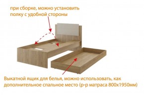 Дуглас (подростковая) М14 Кровать в Соликамске - solikamsk.ok-mebel.com | фото 5