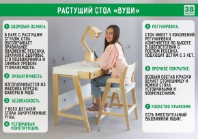 Комплект растущий стол и стул с чехлом 38 попугаев «Вуди» (Белый, Белый, Клетка) в Соликамске - solikamsk.ok-mebel.com | фото
