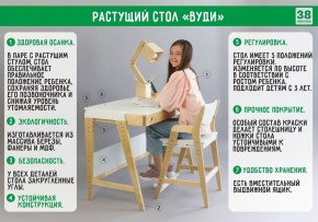 Комплект растущий стол и стул с чехлом 38 попугаев «Вуди» (Серый, Береза, Салют) в Соликамске - solikamsk.ok-mebel.com | фото