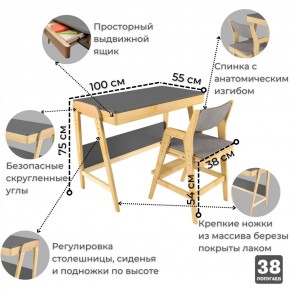 Комплект растущий стол и стул с чехлом 38 попугаев «Вуди» (Серый, Береза, Серый) в Соликамске - solikamsk.ok-mebel.com | фото