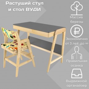 Комплект растущий стол и стул с чехлом 38 попугаев «Вуди» (Серый, Без покрытия, Монстры) в Соликамске - solikamsk.ok-mebel.com | фото