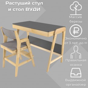 Комплект растущий стол и стул с чехлом 38 попугаев «Вуди» (Серый, Без покрытия, Серый) в Соликамске - solikamsk.ok-mebel.com | фото