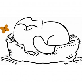 Кровать двухуровневая Кот № 900.1 ПРАВАЯ (туя светлая/белый) в Соликамске - solikamsk.ok-mebel.com | фото 2