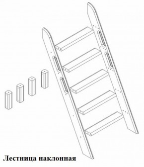 Кровать Сонечка 2-х ярусная (модульная) в Соликамске - solikamsk.ok-mebel.com | фото 11