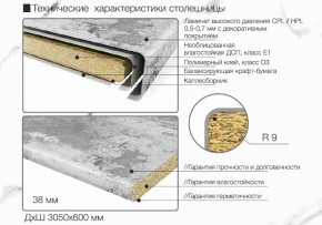 Кухонный фартук со столешницей (А-04) в едином стиле (3050 мм) в Соликамске - solikamsk.ok-mebel.com | фото 6