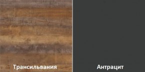 Кухонный гарнитур угловой Трансильвания 2600х1600 мм (Стол. 38 мм) в Соликамске - solikamsk.ok-mebel.com | фото 3