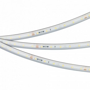 Лента светодиодная Arlight IC-PS-A60-10mm 24V 050656 в Соликамске - solikamsk.ok-mebel.com | фото