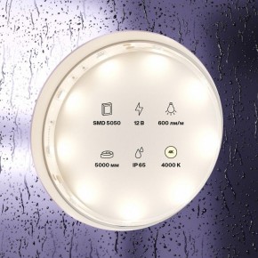 Лента светодиодная Maytoni Led strip 10124 в Соликамске - solikamsk.ok-mebel.com | фото 3