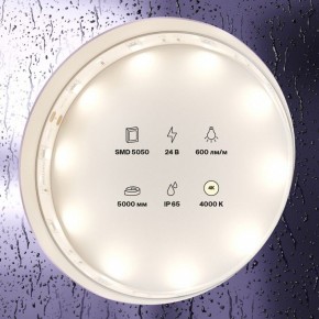 Лента светодиодная Maytoni Led strip 10164 в Соликамске - solikamsk.ok-mebel.com | фото 2