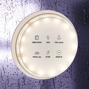Лента светодиодная Maytoni Led strip 20005 в Соликамске - solikamsk.ok-mebel.com | фото 2