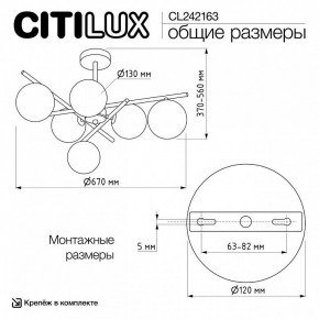 Люстра на штанге Citilux RONNY CL242163 в Соликамске - solikamsk.ok-mebel.com | фото 12