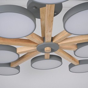 Люстра на штанге Imperiumloft TURNA Gray TURNA-B01 в Соликамске - solikamsk.ok-mebel.com | фото 10