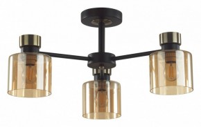 Люстра на штанге Lumion ARLIN 5643/3C в Соликамске - solikamsk.ok-mebel.com | фото