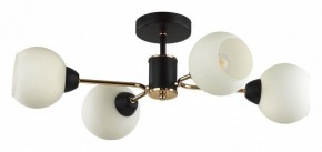 Люстра на штанге Lumion KODI 5646/4C в Соликамске - solikamsk.ok-mebel.com | фото