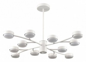 Люстра на штанге Lumion TORINA 8265/12 в Соликамске - solikamsk.ok-mebel.com | фото