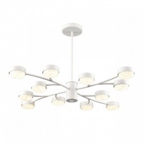 Люстра на штанге Lumion TORINA 8265/12 в Соликамске - solikamsk.ok-mebel.com | фото 2