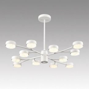 Люстра на штанге Lumion TORINA 8265/12 в Соликамске - solikamsk.ok-mebel.com | фото 3