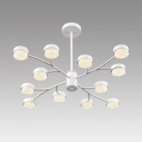 Люстра на штанге Lumion TORINA 8265/12 в Соликамске - solikamsk.ok-mebel.com | фото 5