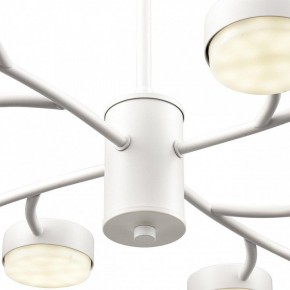 Люстра на штанге Lumion TORINA 8265/12 в Соликамске - solikamsk.ok-mebel.com | фото 8
