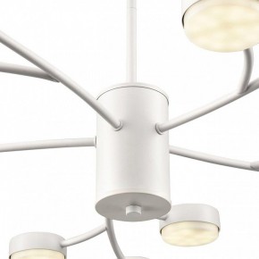Люстра на штанге Lumion TORINA 8265/15 в Соликамске - solikamsk.ok-mebel.com | фото 8