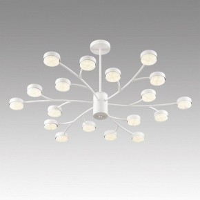 Люстра на штанге Lumion TORINA 8265/18 в Соликамске - solikamsk.ok-mebel.com | фото 5