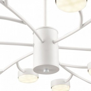 Люстра на штанге Lumion TORINA 8265/18 в Соликамске - solikamsk.ok-mebel.com | фото 8