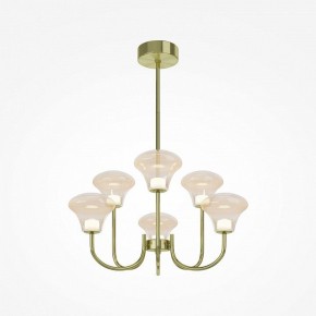Люстра на штанге Maytoni Dynasty MOD402PL-L20BS3K в Соликамске - solikamsk.ok-mebel.com | фото 2