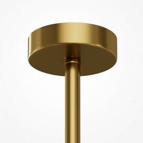 Люстра на штанге Maytoni Museo MOD436PL-05BS в Соликамске - solikamsk.ok-mebel.com | фото 6