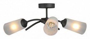 Люстра на штанге Vitaluce V2850 V2850-1/3PL в Соликамске - solikamsk.ok-mebel.com | фото