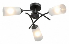 Люстра на штанге Vitaluce V2850 V2850-1/3PL в Соликамске - solikamsk.ok-mebel.com | фото 2