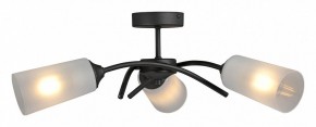 Люстра на штанге Vitaluce V2850 V2850-1/3PL в Соликамске - solikamsk.ok-mebel.com | фото 3